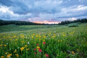 mountains and field